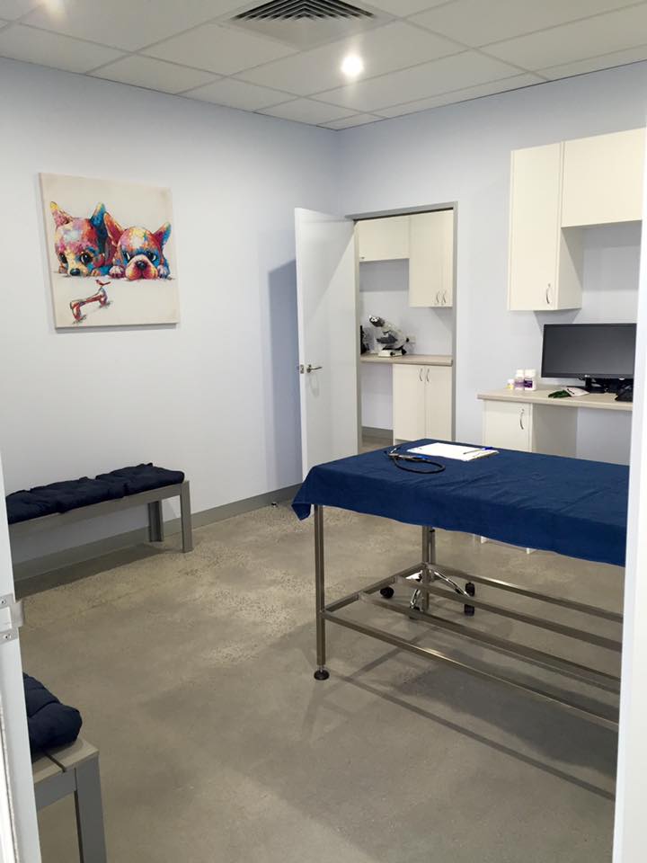 Consultation Rooms Wellington Village Vet