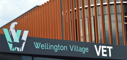 Wellington Village Vet - Rowville Vets & Lysterfield Vets