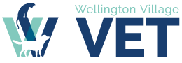 Wellington Village Vet